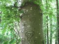 Maj2009 427
